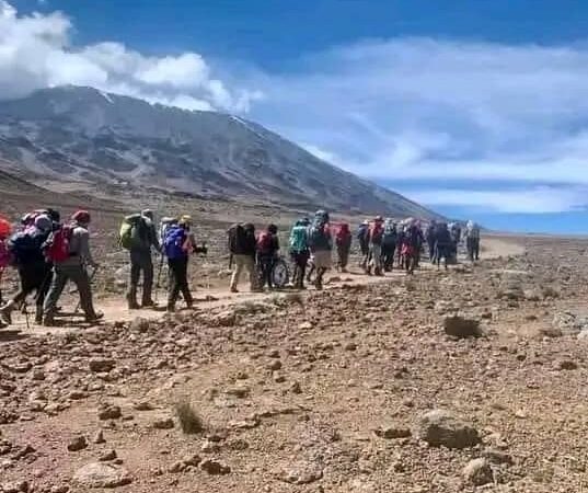 7 days Kilimanjaro climbing via Rongai route