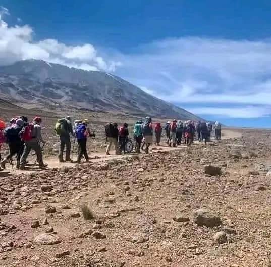 7 days Kilimanjaro climbing via Rongai route