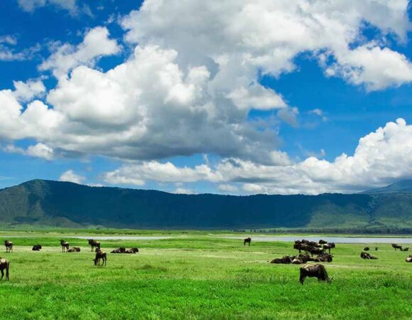 4 days Tarangire, Serengeti and Ngorongoro crater safari