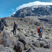 5 days marangu route