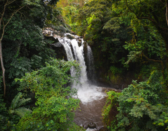 Best 1 day trip to Marangu waterfalls