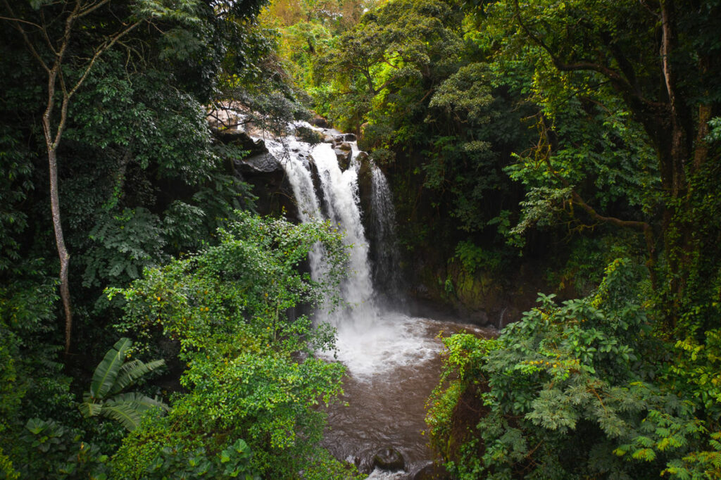 Best 1 day trip to Marangu waterfalls