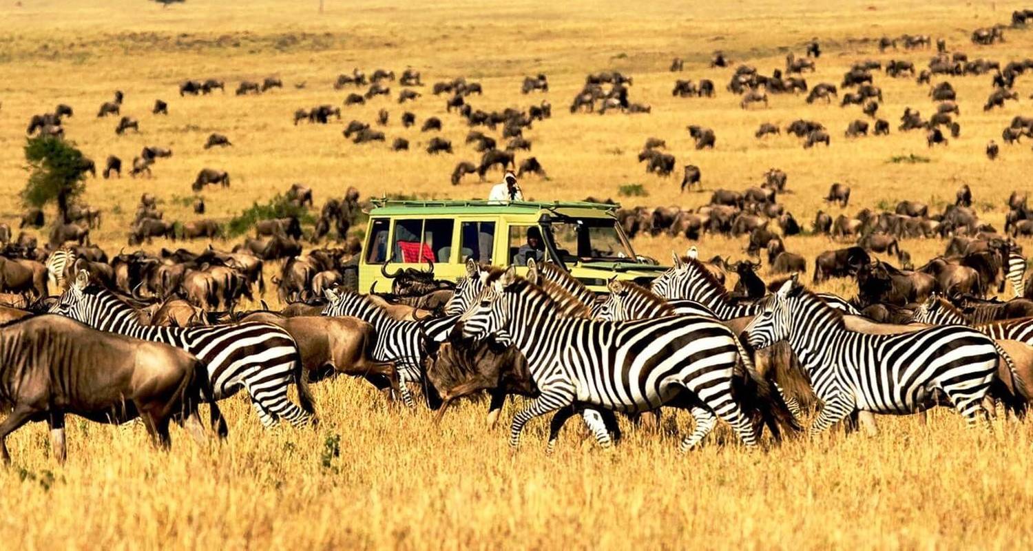 Serengeti national park