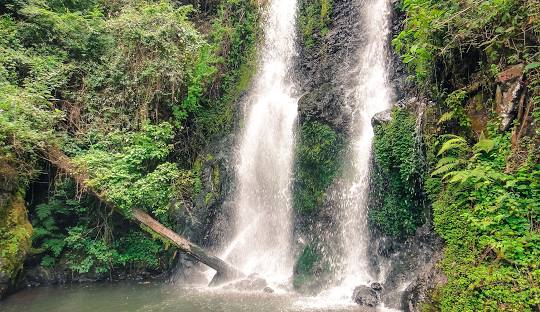 1-Day Marangu Hiking Tour from Moshi – Kilimanjaro Foothills Adventure  2026 / 2027